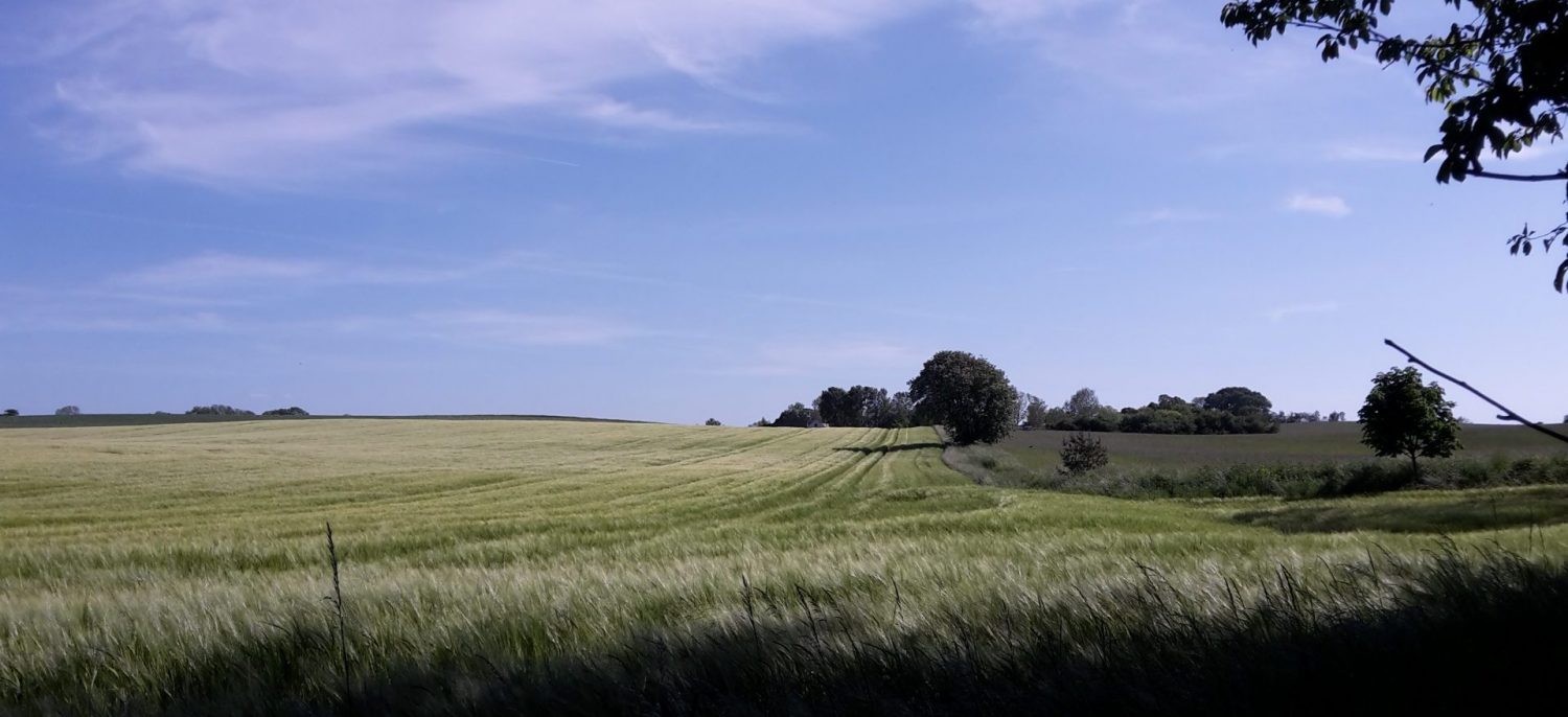 Grundejerforeningen Bakkebjerg